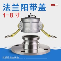 1 inch 2 inch 2 5 inch 3 inch 4 inch flange discharge port flange male with plug cap quick coupling F type flange