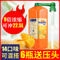 sunquick new mango juice new place concentrate juice puree cocktail 2 5L pack special commercial