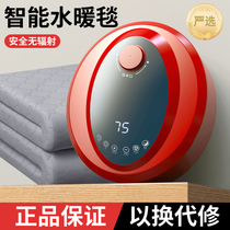 Single double control household intelligent water circulation water heating blanket electric mattress electric mattress safety non-radiation mattress