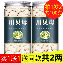 Tibetan Fritillaria chuanshellfish grain dry Tibet wild Fritillaria official flagship store 100g Songbei traditional Chinese Medicine Special Grade