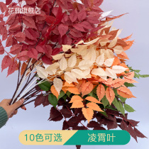 Emulation Lingxiao Leaf Silk Flower Ice Heart Leaf Autumn Color Wedding Hall Background Ceiling Decoration Road Guide Flower Arrangement Soft Fit Leaf material