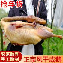 Salty goose farmhouse hand-pickled Anhui specialty goose meat air-dried big goose goose grass goose grass goose grass goose whole new year bacon duck