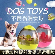Dog toys eclipse balls boring artifact tumbler play their own bite-resistant puzzle Slow Food cats pet supplies