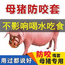 Sow anti-bite sleeve Pig mouth cover shrouded protection piglets artifact anti-bite frame Horse cattle Sheep anti-food special piglets