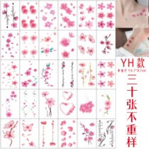 Cherry blossom tattoo sticker Waterproof female ancient style fairy sexy clavicle Pink girl flower long-lasting simulation tattoo sticker