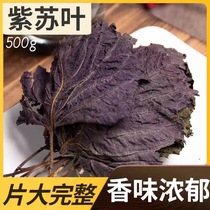 Fresh and natural edible wild perilla leaf dry goods Chinese herbal medicine perilla leaf dried perilla leaf powder soak feet to fishy tea