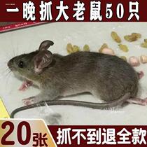 Cat mountain king mouse paste strong sticky mouse board household sticky mouse glue to catch and eliminate mouse artifact mouse increase