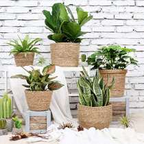 Nordic ins wind rattan flower pot straw weaving flower basket green radish decorative flower arrangement basket green plant creative hand flower device