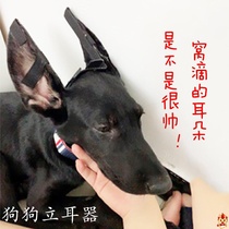 Dubin Black Wolf Demu Keji Wolf Green Shepherd Pet Puppies Ear Orthopedic Orthopedic Holder