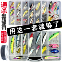 Luya Equipment Greater All-through Killing Wild Fishing Freshwater Carp Grass Carp New Hand Guazzi Road Subfalse Bait Suit Fresh Water Complete