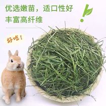 21-year-old new grass Rabbit grass Rabbit grass food Timothy grass hay Guinea pig Chinchilla Dutch pig feed 1000g