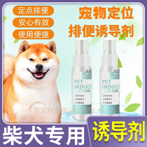 Chai Dog Special Attractant for Urine Dog Inducers Dog Defecation of the Toilet Bowl toilet Toilet Bowl toilet Toilet Bowl