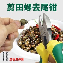 Clamp with screw clamp scissors snail pliers clip Tian snail tail tail tool artifact household scissors