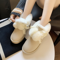 Fur one snow boots women winter 2021 new plus velvet padded foreign style cute warm wear Mao Mao cotton shoes