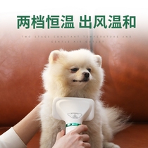Dog electric hair dryer for Pet Hair pulling special high-power silent hair blowing artifact golden hair Teddy large small dog