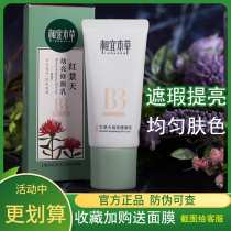 Appropriate Materia Medica Rhodiola White Skin Cream bb Cream 50g Moisturizing Hydrating Concealer Naked Makeup Female Foundation
