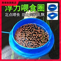 Fish food feeding ring fish feeding ring feeding ring fish tank large large fish feeder floating material fixed fish feeding ring