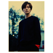 Matsuzaka Taoli poster A total of 225 models 13 free shipping photos wall stickers hanging paintings a5a06a17