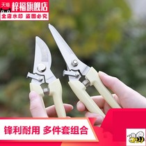Flower and wood grafting fruit wood pliers flower arrangement pruning shears flower scissors professional green barbecue bamboo stick scissors province