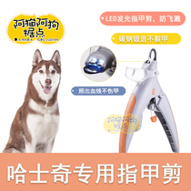 Huskys pet nail clipper blood line Siberian sled dog novice anti-cut dog artifact