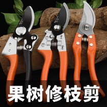 Compound gardening fruit picking multi-functional scissors landscaping pepper tree size pruning and planting