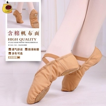Children's dance shoes women's soft soles practice shoes ballet dancing male cat claws adult camel color winter Chinese body dance shoes