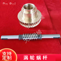 Double lead no gap precision worm gear and worm large transmission ratio reducer gearbox custom accessories turbine worm