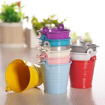 Sheet Iron Flower Arranger Small Flower Barrel Toy Bucket Colored Drawing Bucket 100 Hitch Mini Candy Color Small Iron Bucket