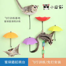 Honey pear take-off platform self-adhesive umbrella platform climbing chain honey quoll training take-off toy supplies platform
