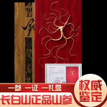 Gift box with certificate ginseng Northeast specialty Changbai Mountain wild forest ginseng Old man Sanmian Mountain ginseng gift high-grade