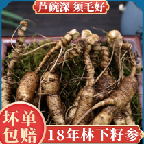 Fresh ginseng Changbai Mountain wild mountain ginseng Forest ginseng 15 years brewing wine Northeast fresh people three 18 years wild old mountain ginseng