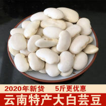 Big white kidney beans 5kg Yunnan specialty farmers self-produced new big white beans grains white beans grains Baiyun beans miscellaneous grains