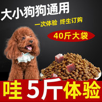 Dog food universal type 5 10 20 40 kg size Teddy Husky native dog young adult dog breed meat grains