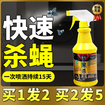 Indoor black killer fly mie wen zi mosquitoes flies nemesis non-toxic artifact mosquitoes home just swept agent