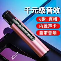 Microphone Audio Integrated Wireless Bluetooth Microphone TV Universal K Song Conference Home with Sound Card