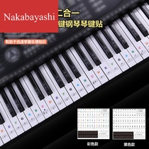  615488-key piano keyboard stickers Electronic piano hand roll Piano staff Notation Note phonetic alphabet Number Black key