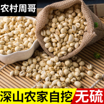Sichuan Fritillaria 500g Farm-produced Super Wild Songbei Grain Sulfur-free Sichuan Fritillaria Snow Autumn Pear Ointment