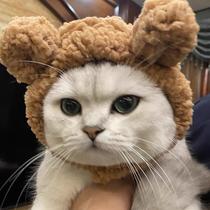 Pet hat bear plush headgear English short cute cat small dog dog photo headdress cross dress accessories