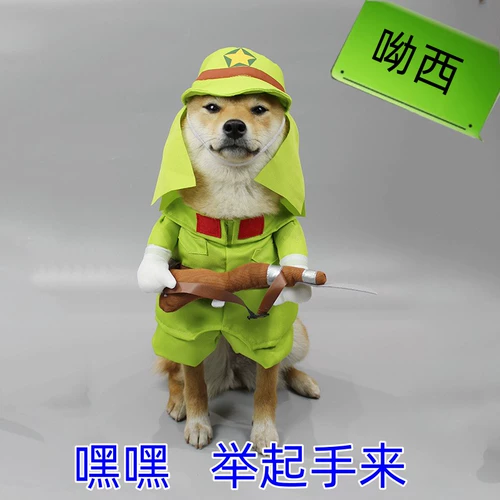 Странная собака, Сяобага, трансформирующие домашних животных, восемь кошачьих дуорина смешная одежда Тедди Баргер маленькие и маленькие собаки