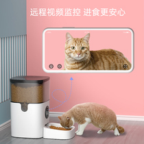 Smart pet dog full cat dispenser cat food basin timing quantitative camera video surveillance automatic feeder