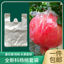 Pomegranate Outer Bag Anti-Insect Fruit Protection Bag Ballet Pomegranate Outer Bag Yang Peach Bag Thickened Transparent Film Bag