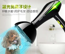 Pet hair dryer High-power dog special hair blowing artifact Golden retriever Teddy cat small large dog water blower