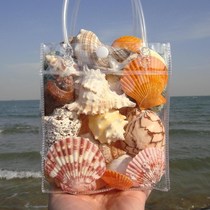 Natural shell conch ornaments starfish shell fish tank aquarium platform landscaping childrens toy gifts