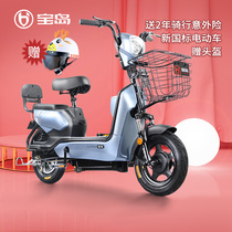 Baodao electric car new national standard 48V lithium battery electric bicycle small car battery car adult men and women