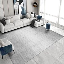 Minimalist carpet living room ins Wind light luxury high grade dirt resistant modern simple thick sofa tea table blanket home bedroom mat