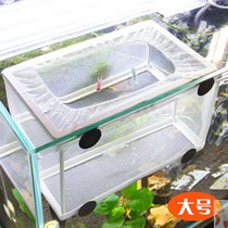 Breeding and cultivating fine-mesh fish pond protection box multi-grid fry combination isolation box baffle incubator fishnet multi-work
