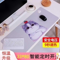 Computer mat Desktop mat Writing desk mat Office desk mat Computer keyboard pad Large ins