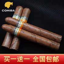 cohiba gaoxiba Cuban cigar model mold non-ancient cigar resin shooting props