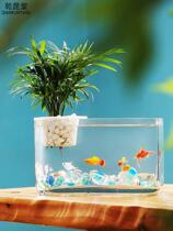 Rectangular glass fish tank creative transparent small aquarium home desktop plant hydroponic integrated goldfish tank
