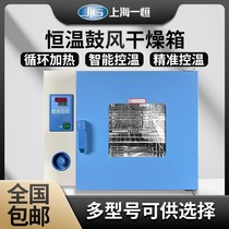 Shanghai Yiheng DHG-9030A 9070 9140A Electric Hot Thermostatic Blast Drying Cabinet Laboratory Oven Industry